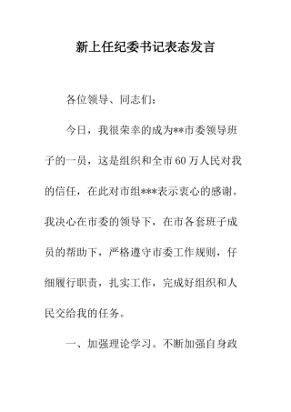 新上任纪委书记表态发言--精编范文