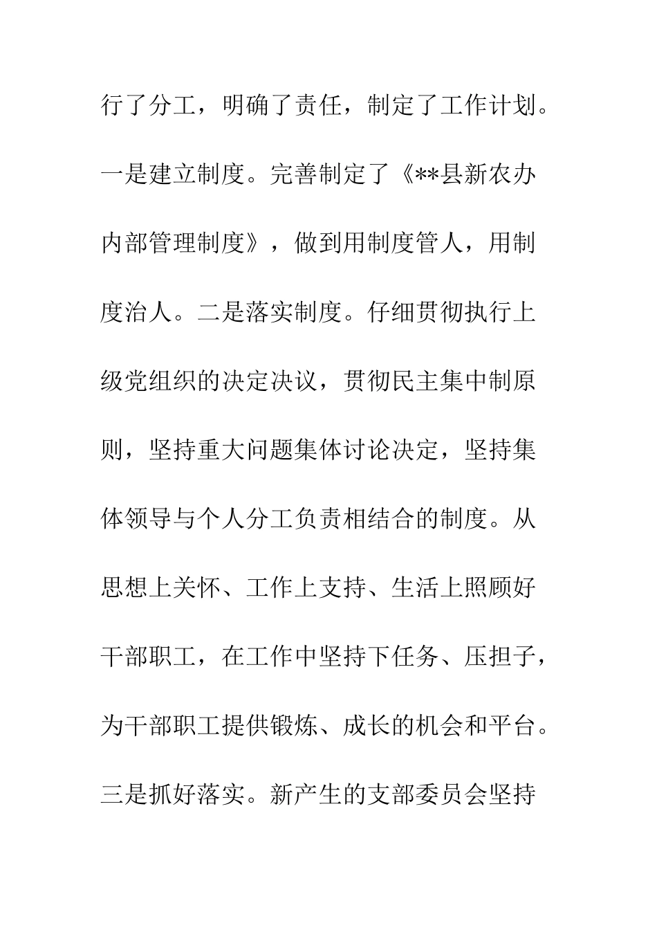 新农办党支部工作总结--精编范文_第3页