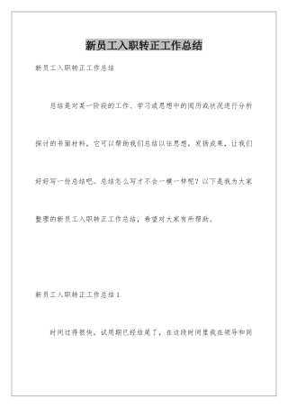 新员工入职转正工作总结