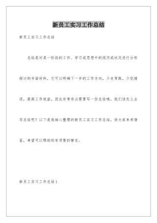 新员工实习工作总结