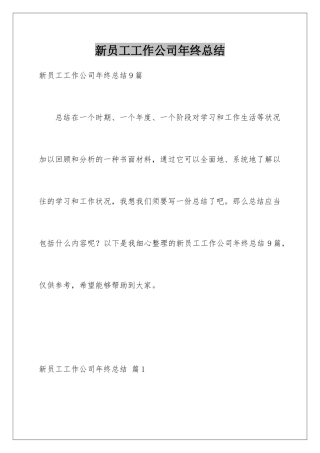 新员工工作公司年终总结