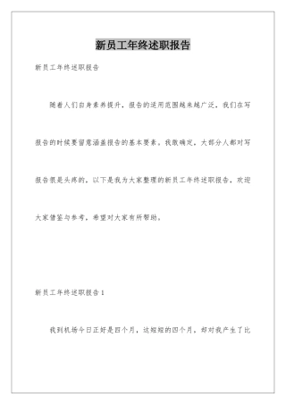 新员工年终述职报告