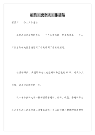 新员工度个人工作总结
