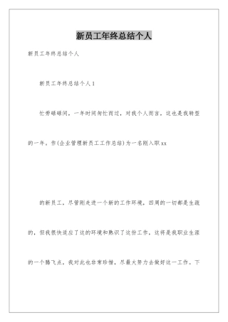 新员工年终总结个人