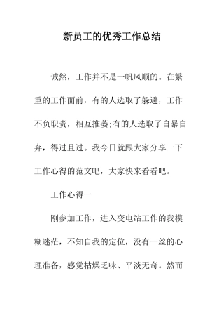 新员工的优秀工作总结--精编范文