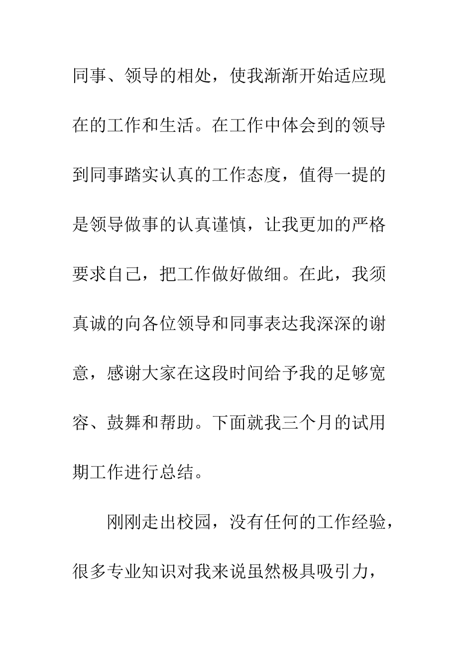 新员工的试用期工作总结报告--精编范文_第2页