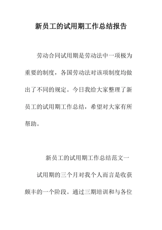 新员工的试用期工作总结报告--精编范文