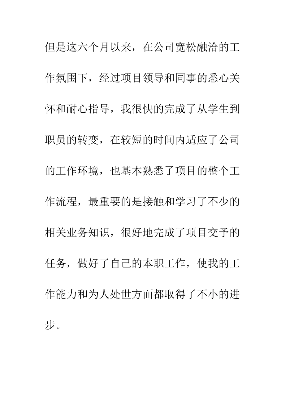 新员工试用期工作总结--精编范文_第2页