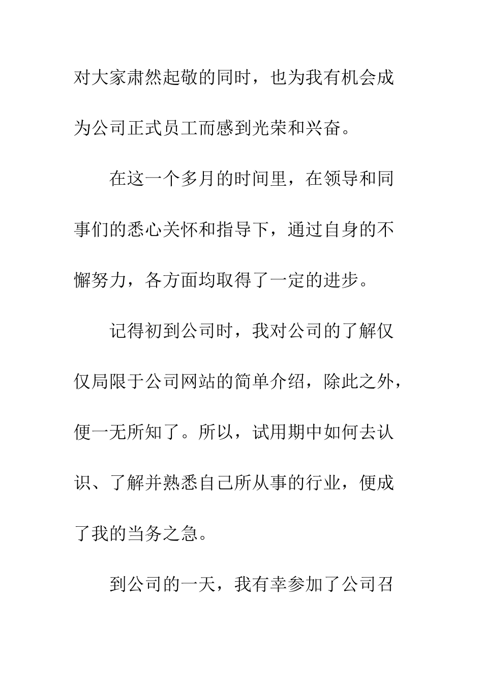 新员工试用期工作总结万能版--精编范文_第2页