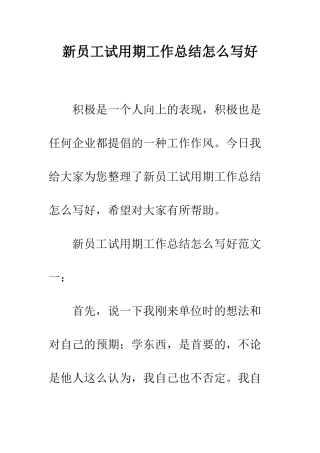 新员工试用期工作总结怎么写好--精编范文