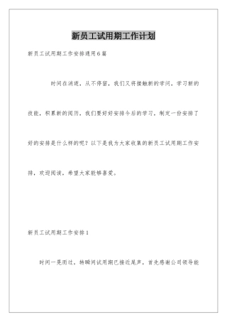 新员工试用期工作计划