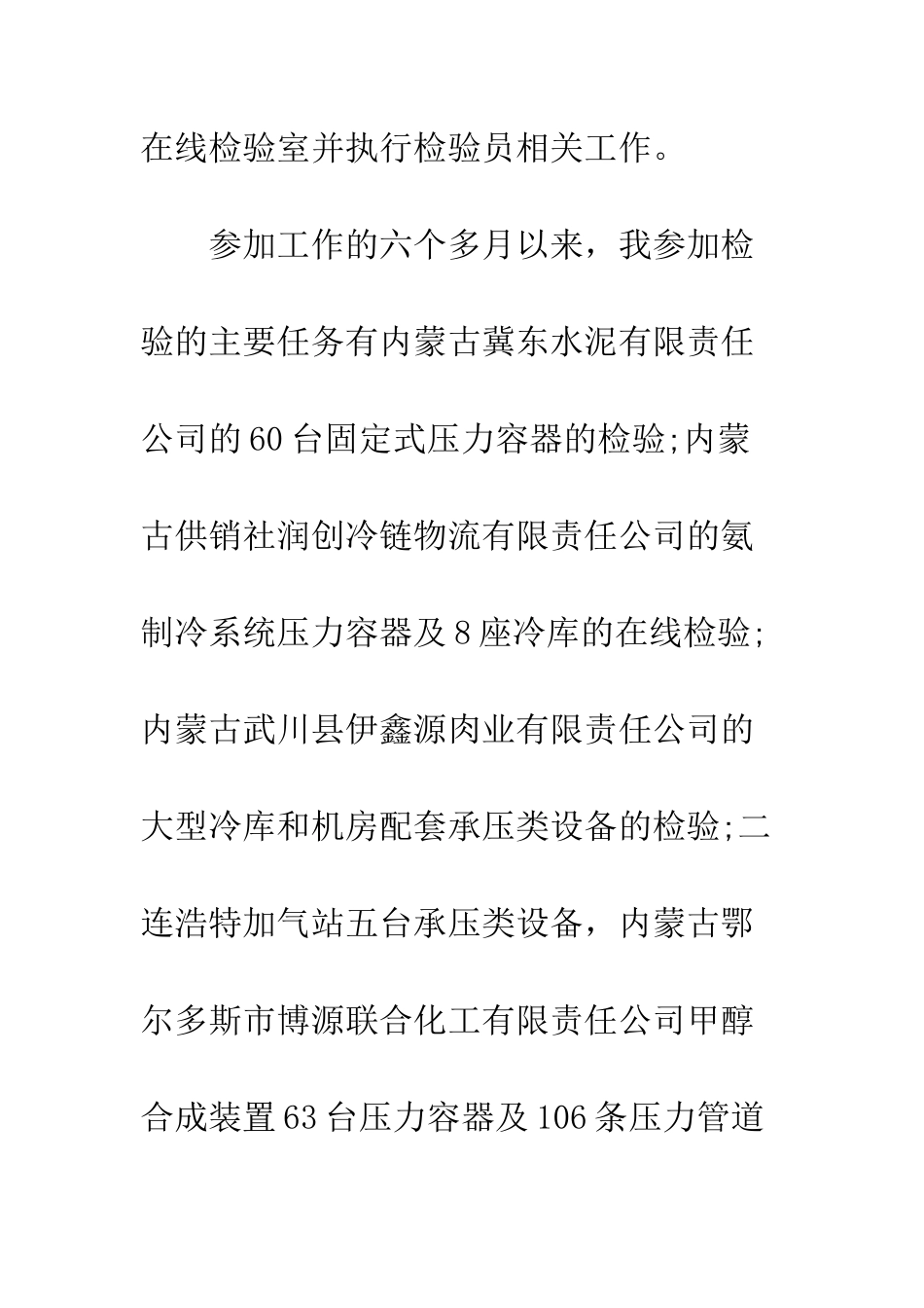 新员工试用期总结怎么写--精编范文_第2页