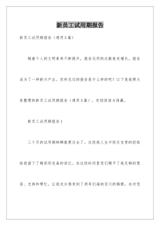 新员工试用期报告