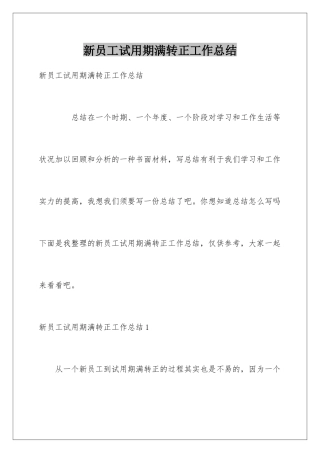 新员工试用期满转正工作总结