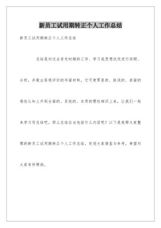 新员工试用期转正个人工作总结