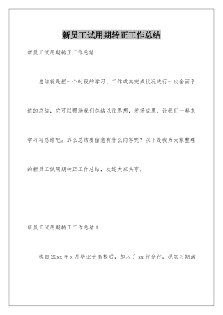 新员工试用期转正工作总结