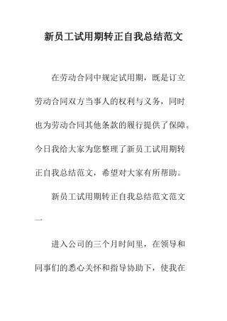 新员工试用期转正自我总结范文--精编范文
