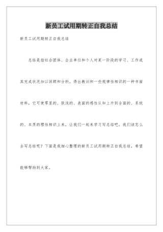 新员工试用期转正自我总结