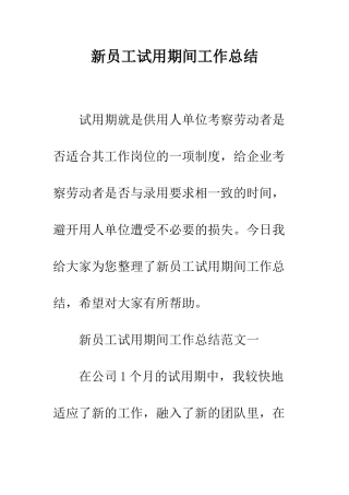 新员工试用期间工作总结--精编范文