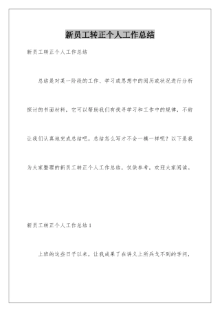 新员工转正个人工作总结