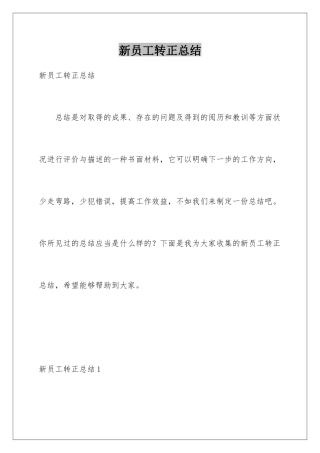 新员工转正总结