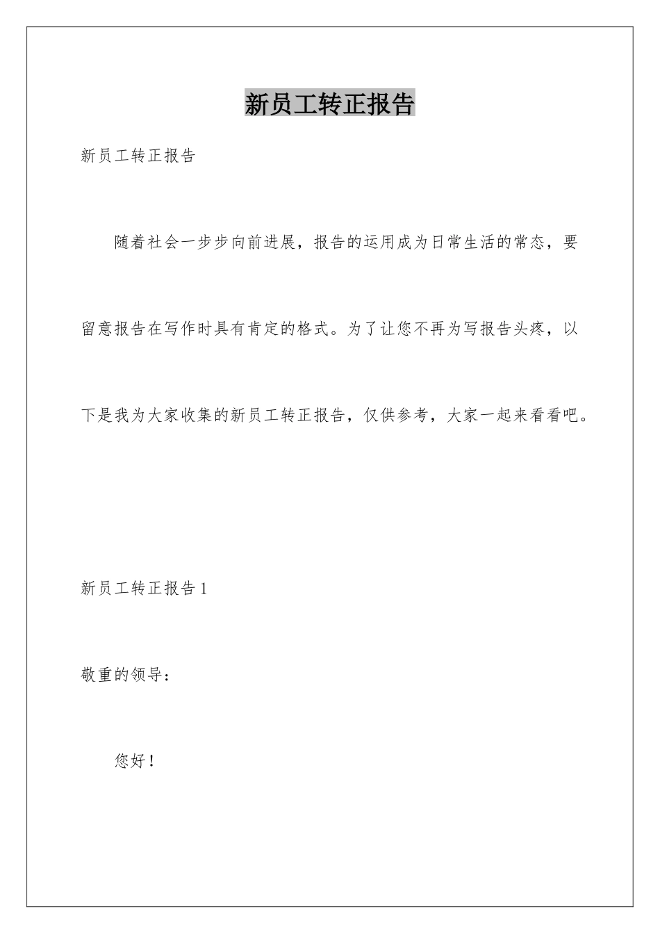 新员工转正报告_第1页
