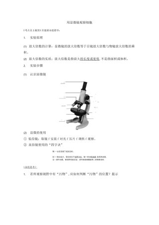 用显微镜观察细胞