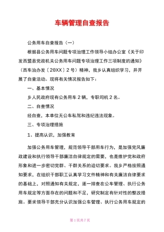 车辆管理自查报告