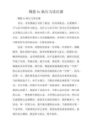 锡恩4r执行力读后感