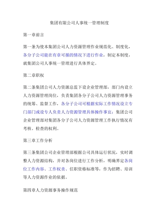 集团有限公司人事统一管理制度