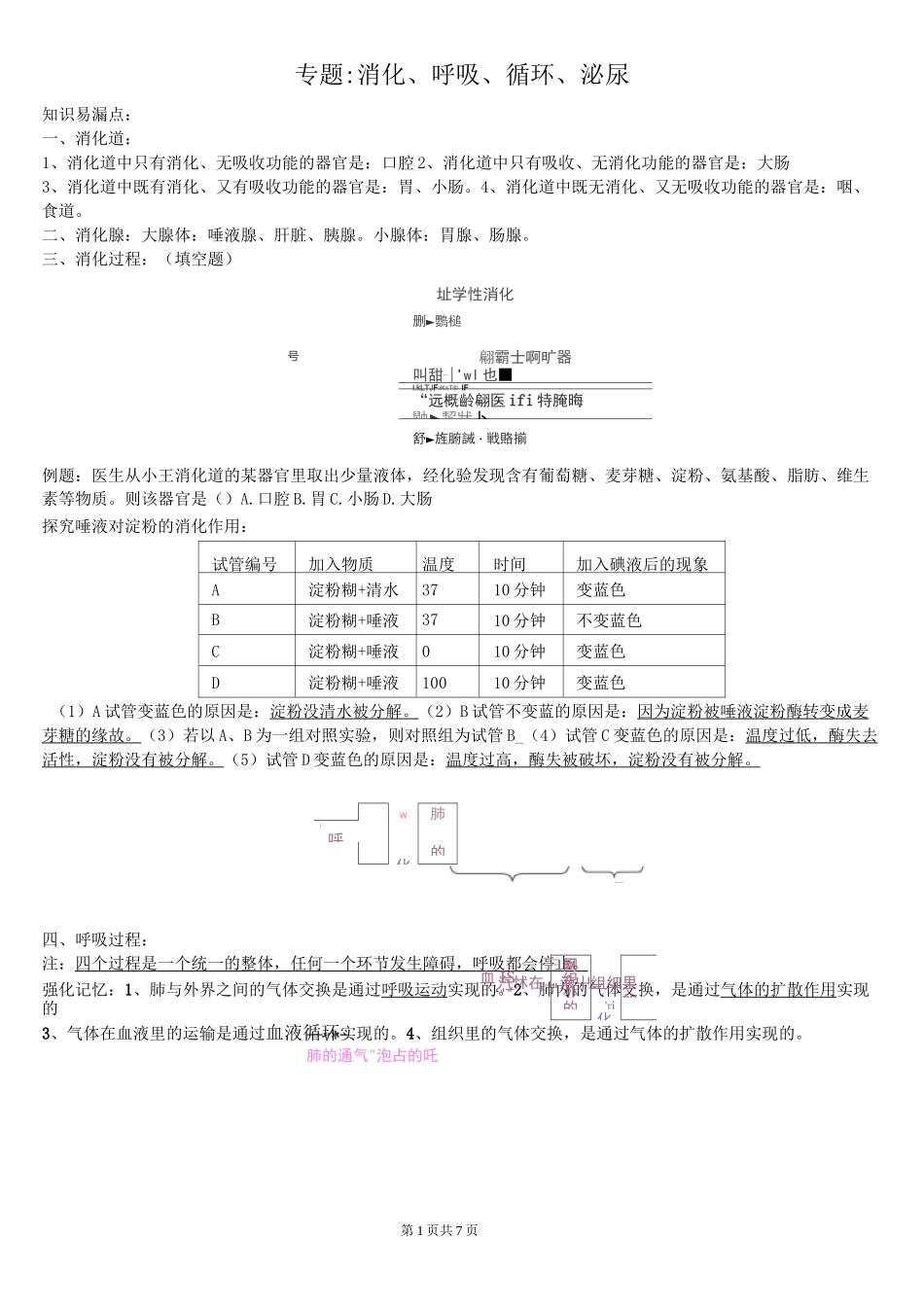 专题4：消化、呼吸、循环、泌尿系统_第1页