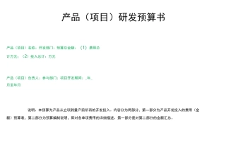 产品研发预算书