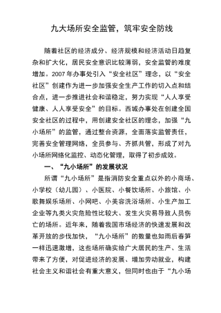 (安全生产)九小场所安全监管安全监管