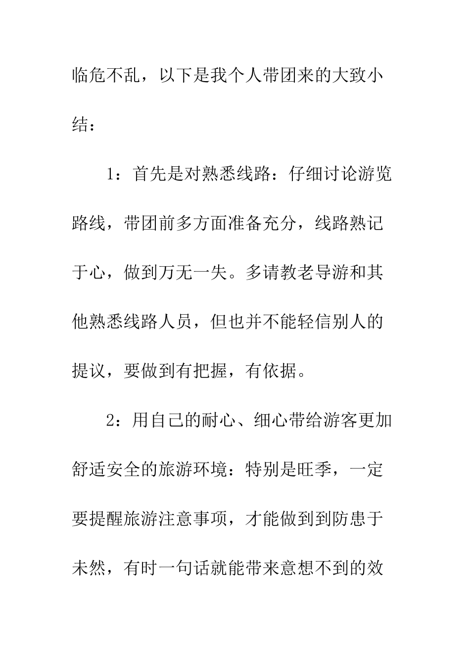 新导游个人工作总结--精编范文_第2页