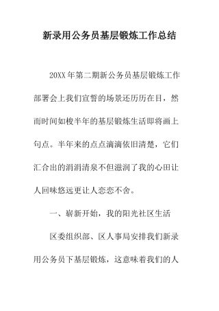 新录用公务员基层锻炼工作总结--精编范文