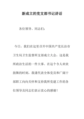 新成立的党支部书记讲话--精编范文