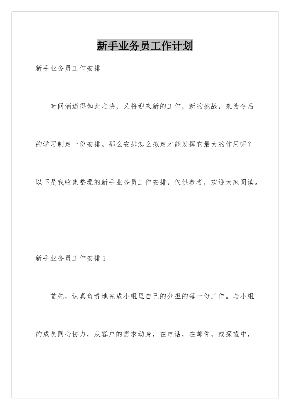 新手业务员工作计划_第1页