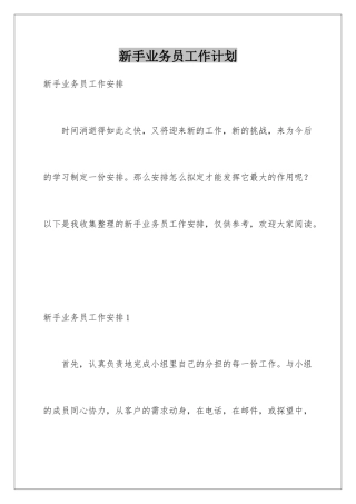 新手业务员工作计划