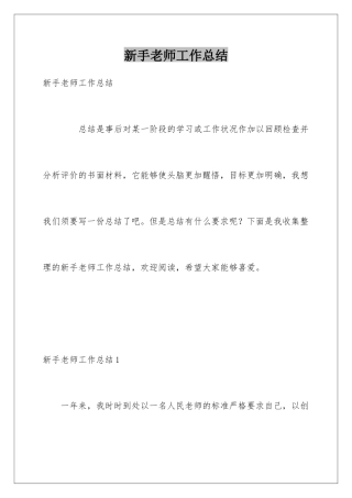 新手教师工作总结