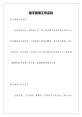 新手销售工作总结