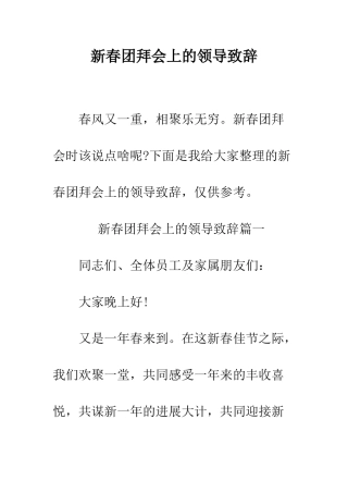 新春团拜会上的领导致辞--精编范文