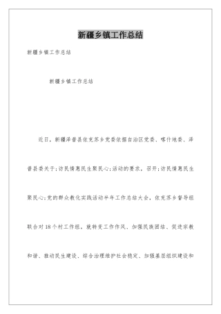 新疆乡镇工作总结