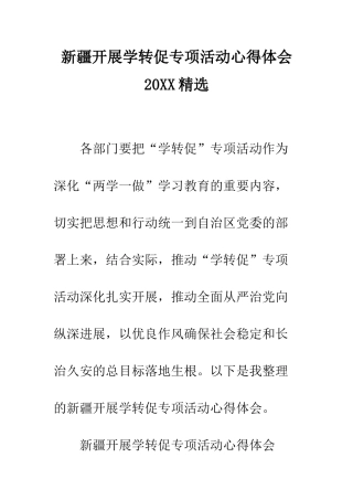 新疆开展学转促专项活动心得体会2025精选--精编范文