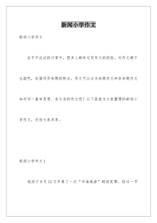 新闻小学作文