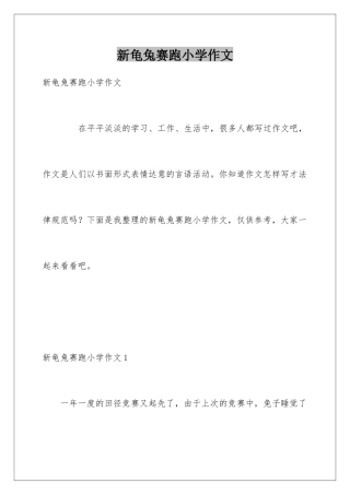 新龟兔赛跑小学作文