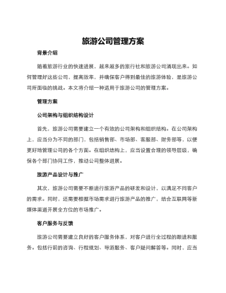 旅游公司管理方案