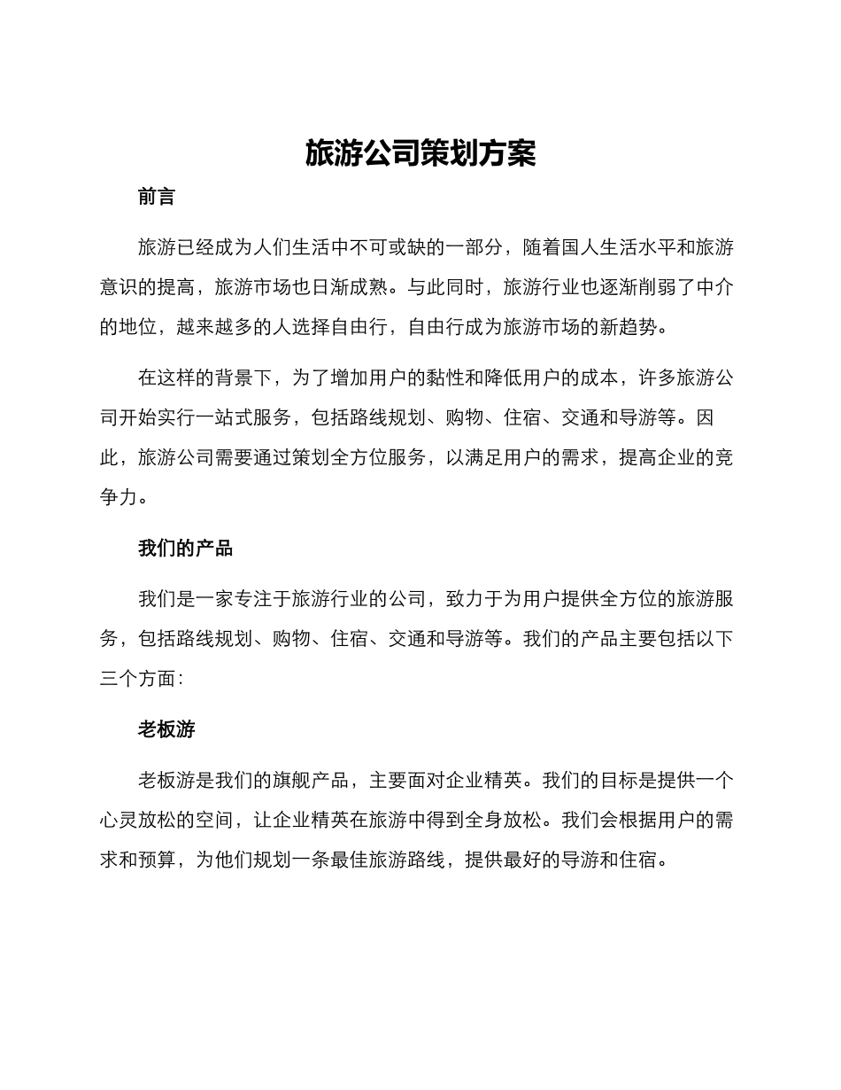 旅游公司策划方案_第1页