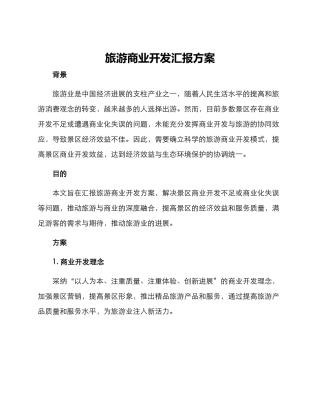 旅游商业开发汇报方案