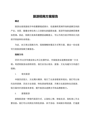旅游招商方案报告