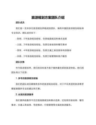 旅游规划方案团队介绍